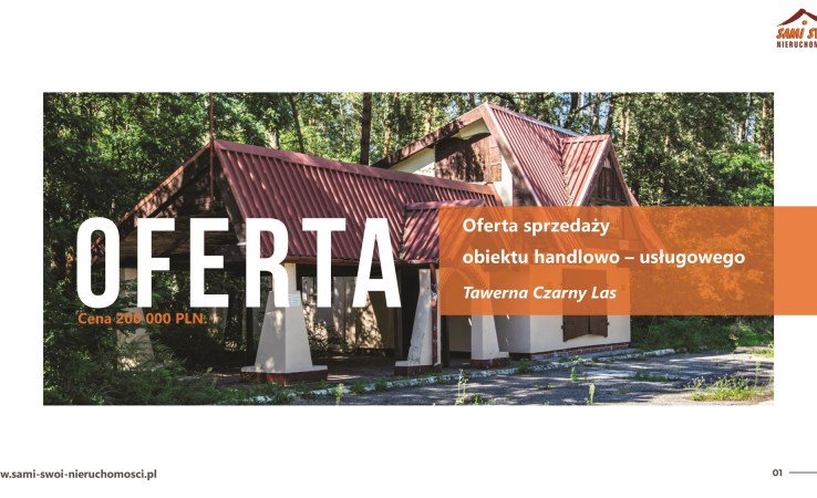 obiekt na sprzedaż - Drużbice, Brzezie, Czarny Las